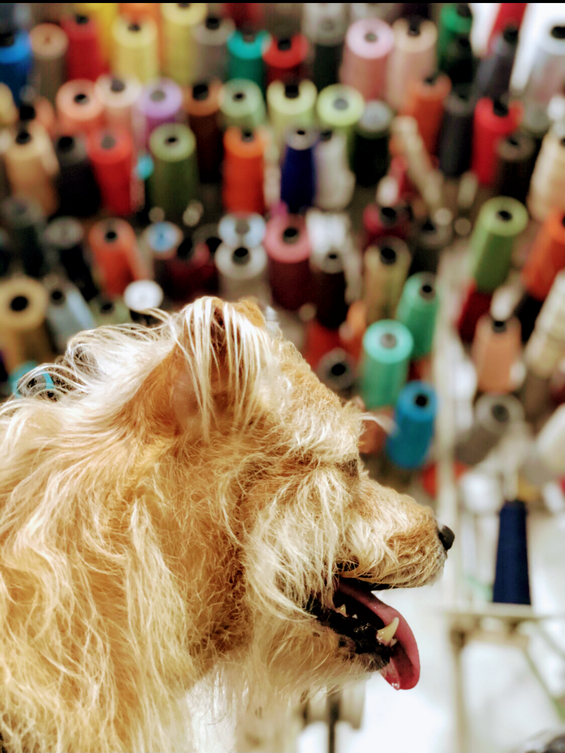 Espaço Nice - Conserto de Roupas Humaitá