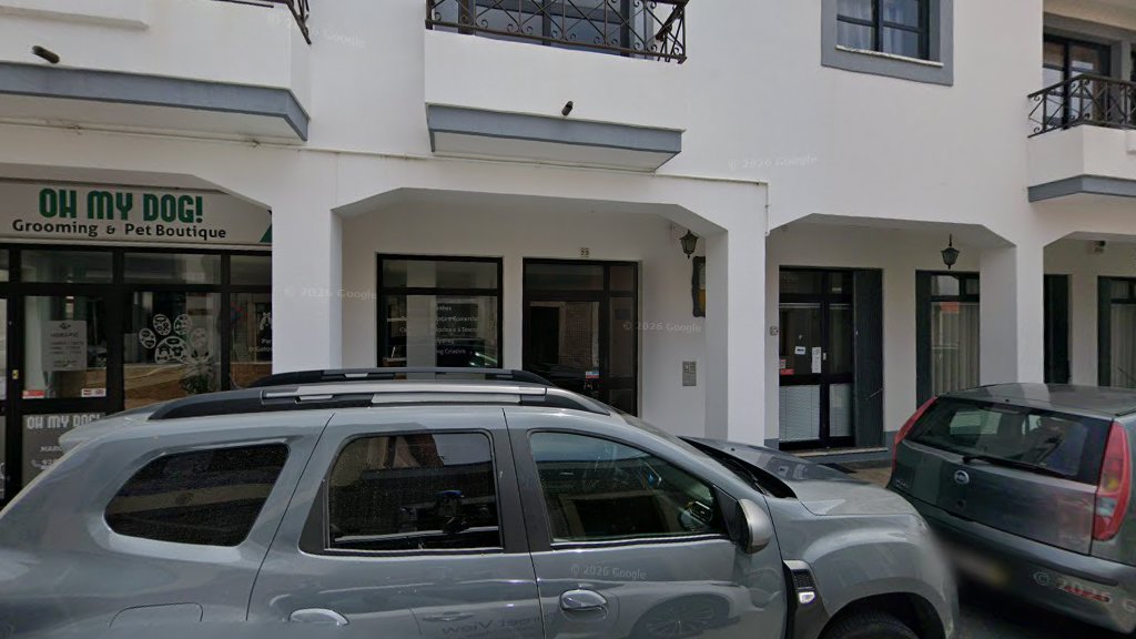 Retrosaria, Malhas e Lãs