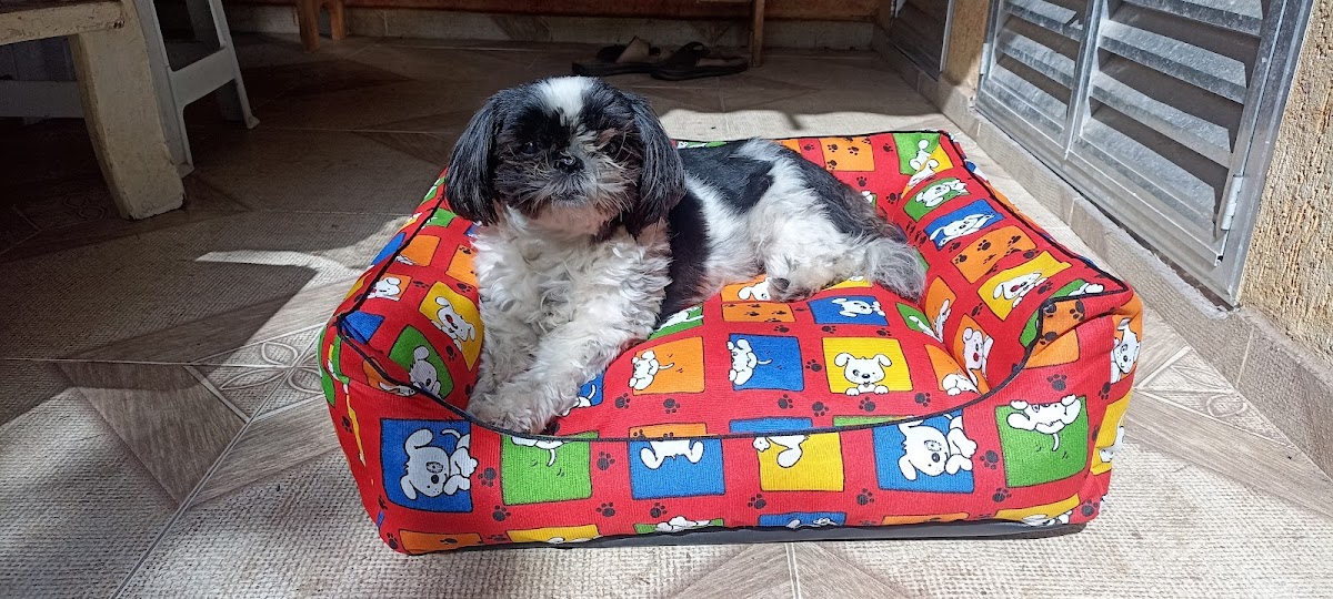 Ateliê Costurando Com Arte