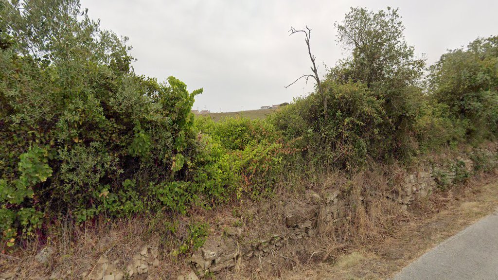 Anita Catita, De Sandra Reis Henriques